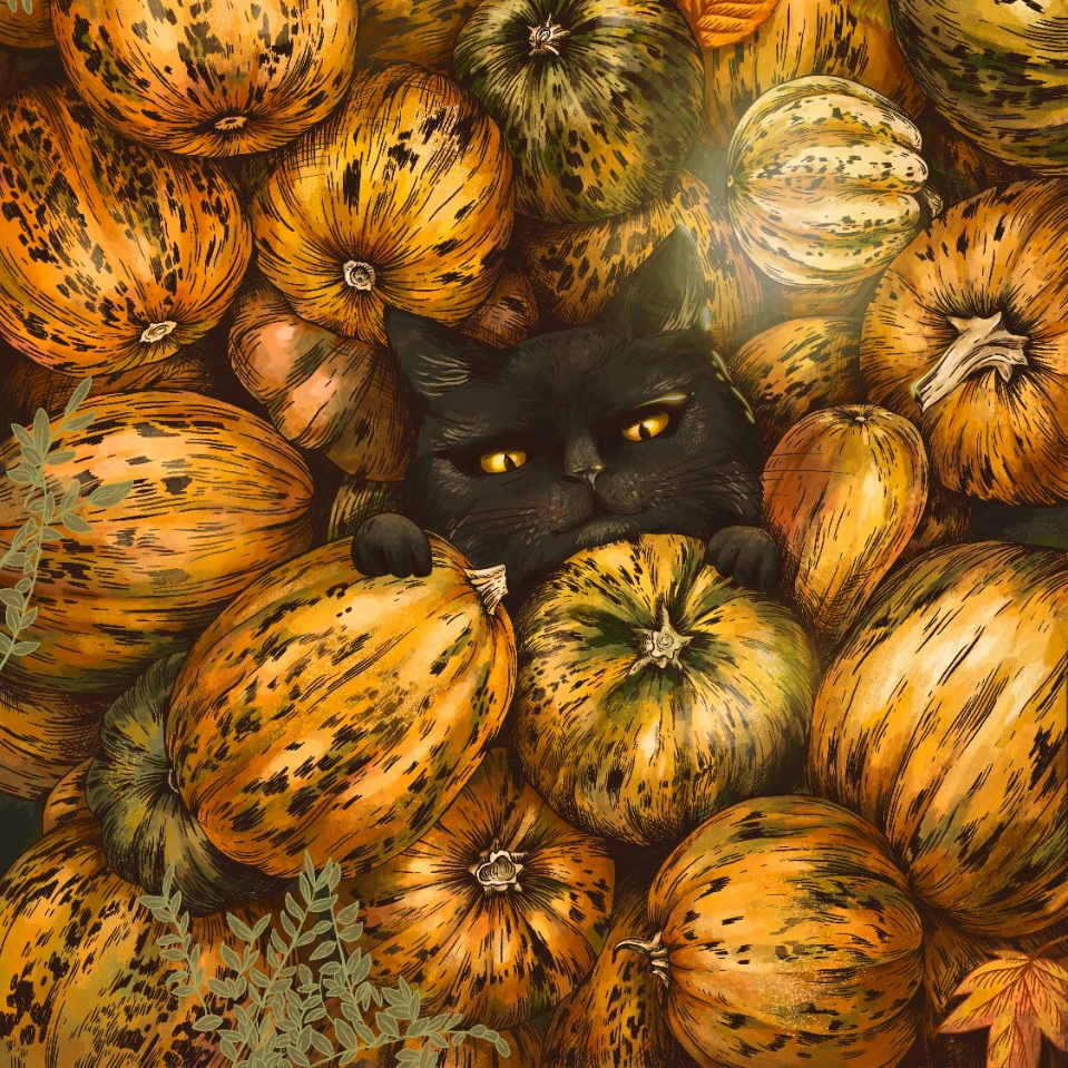 cat in pumpkin