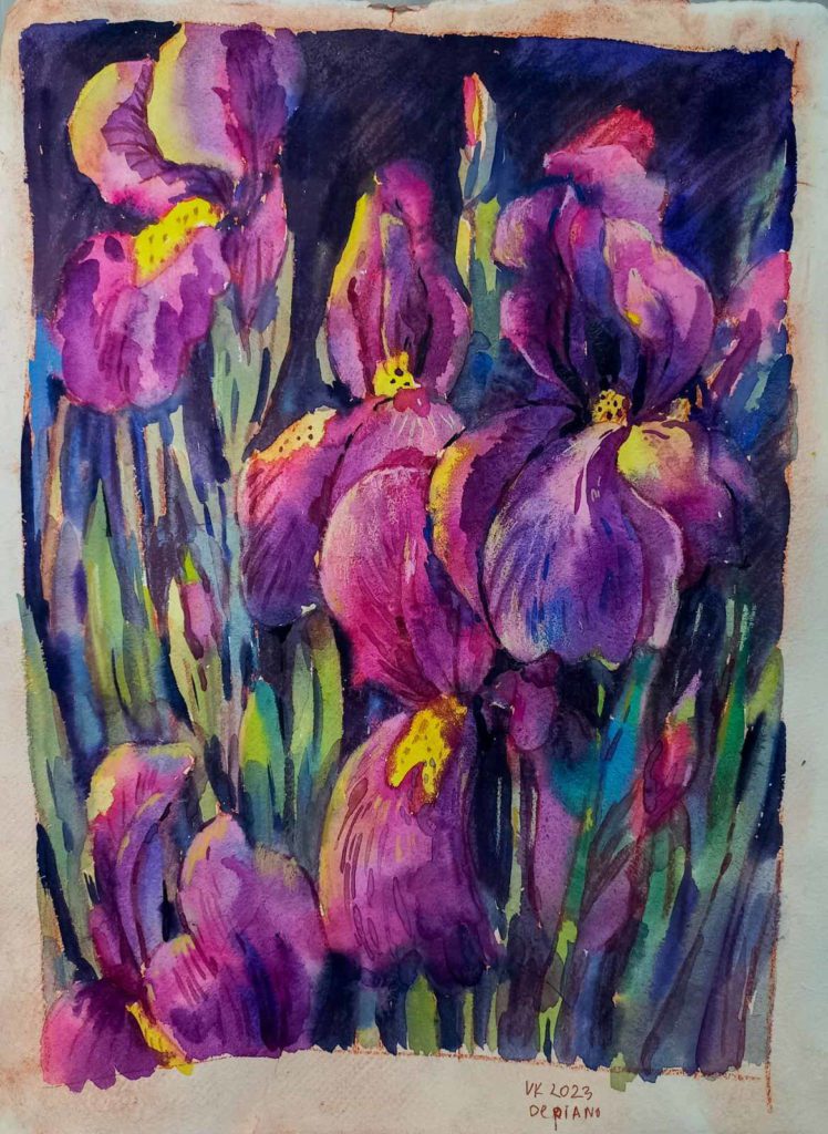 Dark purple irises